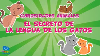 ¿Qué secreto esconden los gatos en su lengua?😸Curiosidades animales. | Vídeos educativos para niños.