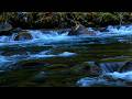 Relaxing Forest River Sounds 🌿 Crystal Clear Stream Flow for Deep Sleep, Study & Stress Relief