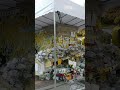Stay Where You Are - The Sewol Ferry Students (2014)