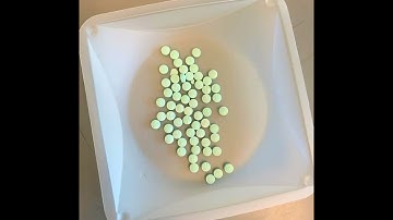 National Forensic Science Week: Austin Crime Lab Tour