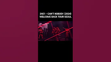 2NE1 CAN T NOBODY 2024 WELCOME BACK TOUR SEOUL Parkbom Cl Minzy Sandarapark 2ne1 Kpop 