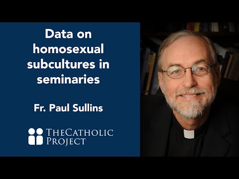 Sullins: Data on homosexual subcultures at the seminary