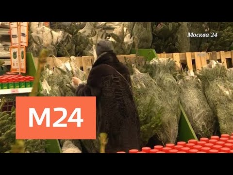 "Специальный репортаж": "Елочный базар" - Москва 24