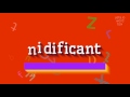 How to say "nidificant"! (High Quality Voices)