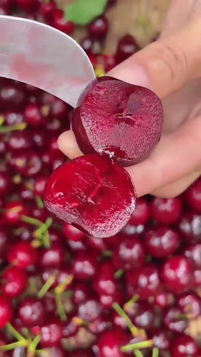 Natural beauty enjoy with tasty fruits🍓🍉🍒🍎#fruit #nature #garden #gardening