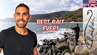 50$ BAIT! How to fish White Sea Bream with RED SHRIMP