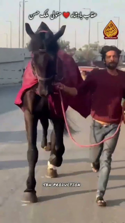 uqab badshah #sbh #treending #zuljinahbadshah #zuljanah #viralshort