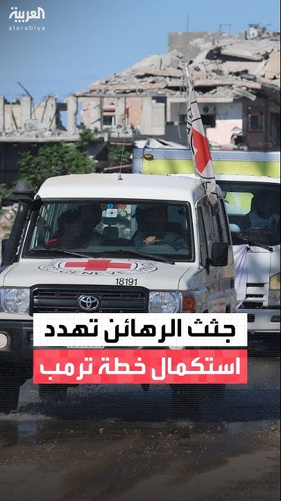                
 - نشر قبل 56 دقيقة