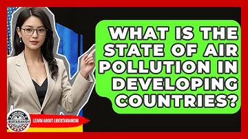 What Is The State Of Air Pollution In Developing Countries? - Learn About Libertarianism