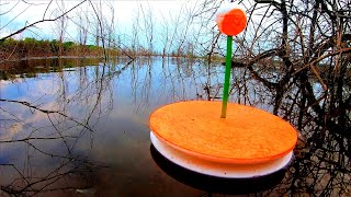 видео: Ловля КАРПА в ДИКОМ КОРЯЖНИКЕ на КРУЖКИ картинка: Ловля КАРПА в ДИКОМ КОРЯЖНИКЕ на КРУЖКИ