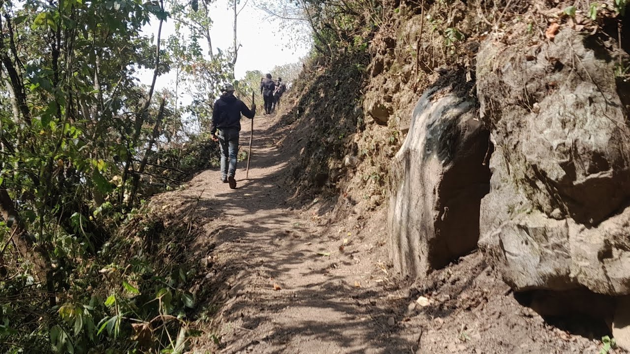New Field path Clearing | Real Village Life
