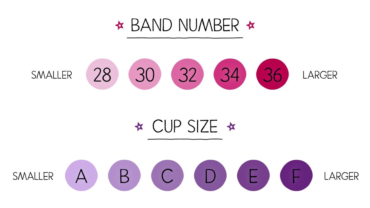 A chart to remind you that melon-titted ladies are actually only a D cup,  the maximum bra size 🙄 : r/bigboobproblems