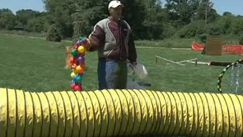 Jeremy Norton Teaching a New Decoy the Accessory A...
