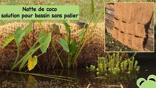 L'installation d'une natte de coco pour plantes aquatiques