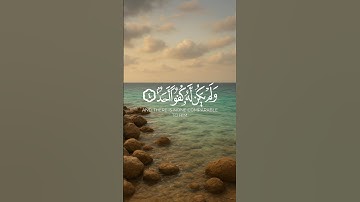 سورة الإخلاص بصوت خاشع | تلاوة تلامس القلوب - الشيخ أحمد النفيس