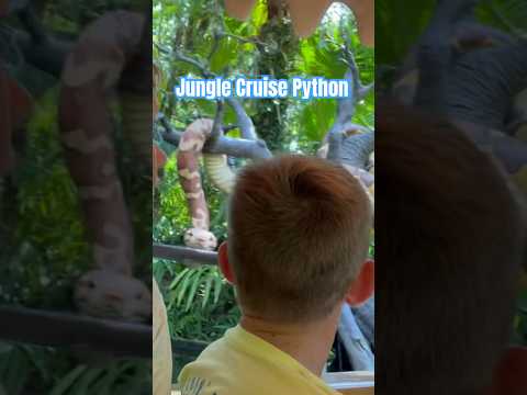 Jungle Cruise Python Joke #waltdisneyworld #junglecruise2023 #python #magickingdom