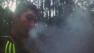 Vape Forest