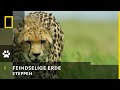 FEINDSELIGE ERDE - Steppen | National Geographic