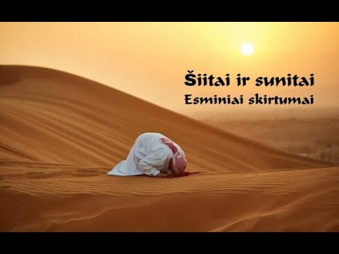 Video: Kuo skiriasi šiitų ir sunitų įsitikinimai?