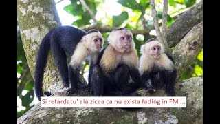 Fm Dx Mr Kossuth Rádió 107,8 Mhz Budapest Széchenyi Hegy Daily Permanent Fluff In Bucharest