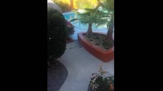 20160703_174214.mp4