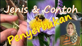 Jenis dan Contoh Penyerbukan Tumbuhan