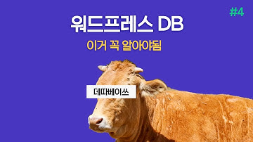 DB를 알아야 농사를 짓지 | 워드프레스 2022 #4