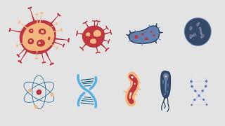 Corona Virus Medical Icons - After Effects Template
