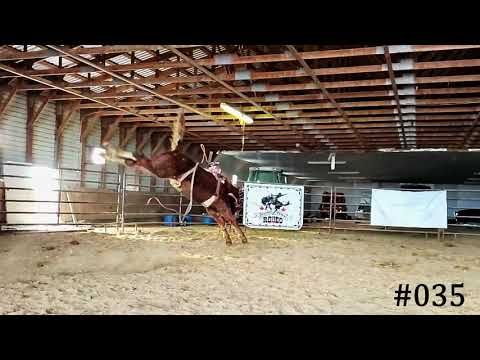 Super slow-mo bucking colt! #035 outstanding and not even 1 year old.