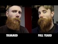 YEARD FINALE | HOW to Trim a HUGE BEARD by Yourself | DIY BEARD GROOMING & STYLING