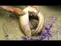 Best Eel Fishing By Oil | Catch Eel Fish in the Hole by Fish Oil