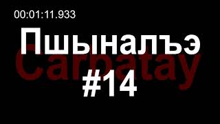 Пшыналъэ #14 | Тенджыз Наиб и къафэ | Пшынауэр - Сэхъу Хьэсэн