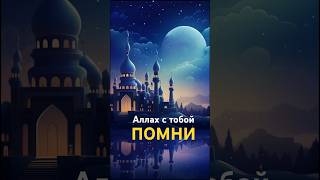 намаз #аллах #дуа #молитва #раскаяние #вера #ислам #сабр #иман #рамадан #истина #покаяние #грех