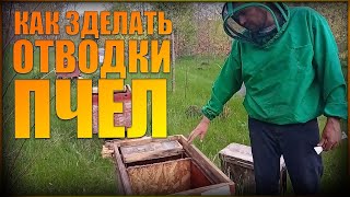 Как сделать отводки пчел.Как удвоить пасеку. Готовим лесной точок (часть 2)