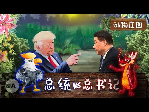 总统 vs. 总书记 | “动物庄园”动画剧场