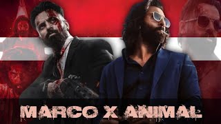 Marco X Animal Bgm Mashup - Theme Mix - Soundtrack - Ost