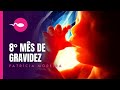 8 MESES DE GRAVIDEZ - Semanas 31, 32, 33, 34, 35 | Patrícia Moreira - BOA GRAVIDEZ