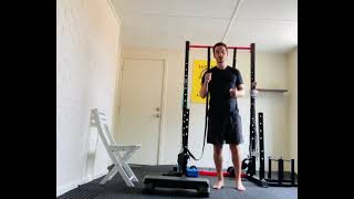 ATG split squat
