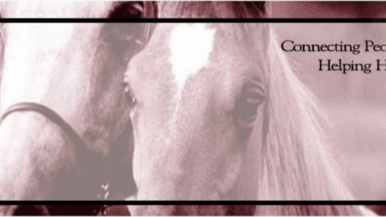 EquineRescueNetwork Live Stream