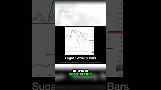 Trading Sugar &amp; Boats  The Inspiring Story of John Hill
