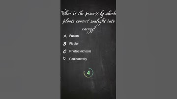 Einstein’s Quiz Lab | Physics Quiz of the Day #89| #quiztime #quiz #shorts #dailyquiz