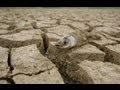 【禁聞論壇】「三峽工程」的層層黑幕