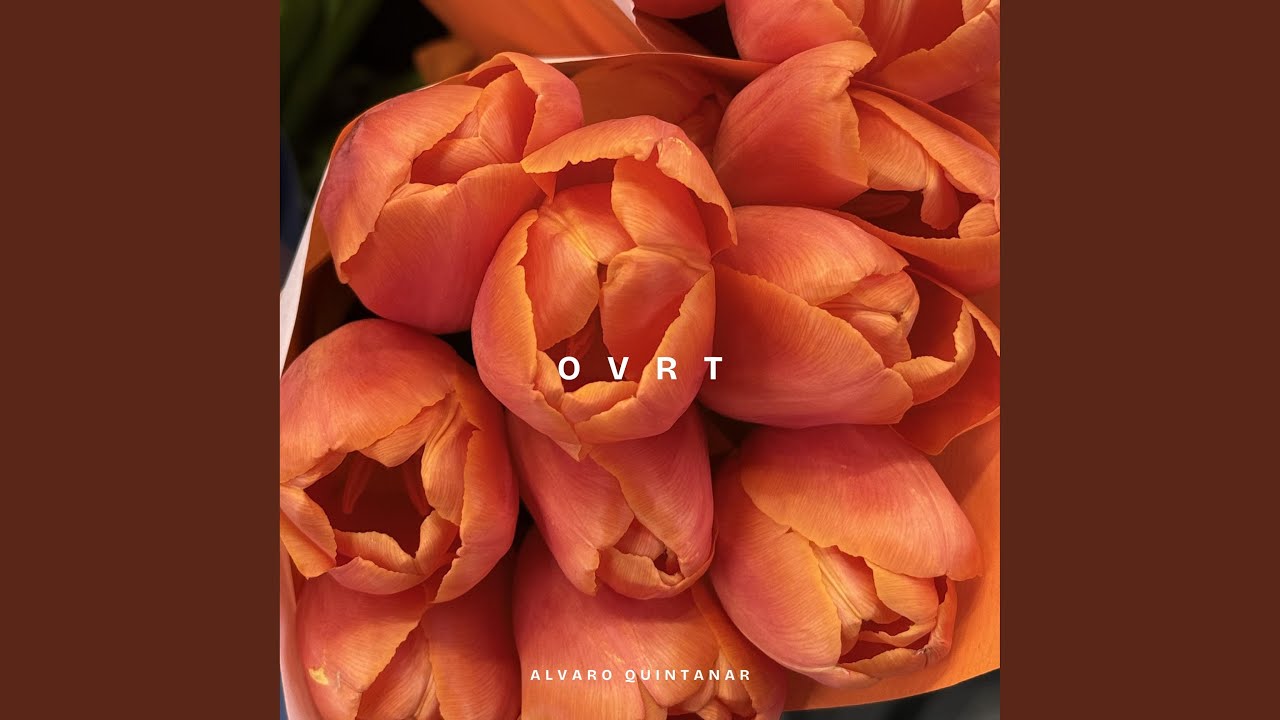 Watch Ovrt on YouTube Watch Ovrt on YouTube