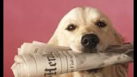 The Conversion Pros Autoresponder.  Massive Value, Stay Connected with your Leads.