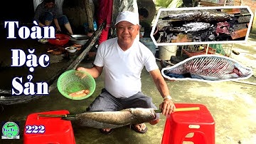 Cá Lóc Khủng Nướng giấy bạc - Trứng Cá Khủng Gói lá Mướp Nướng | Đặc Sản Miền Tây | NGÃ NĂM TV T222