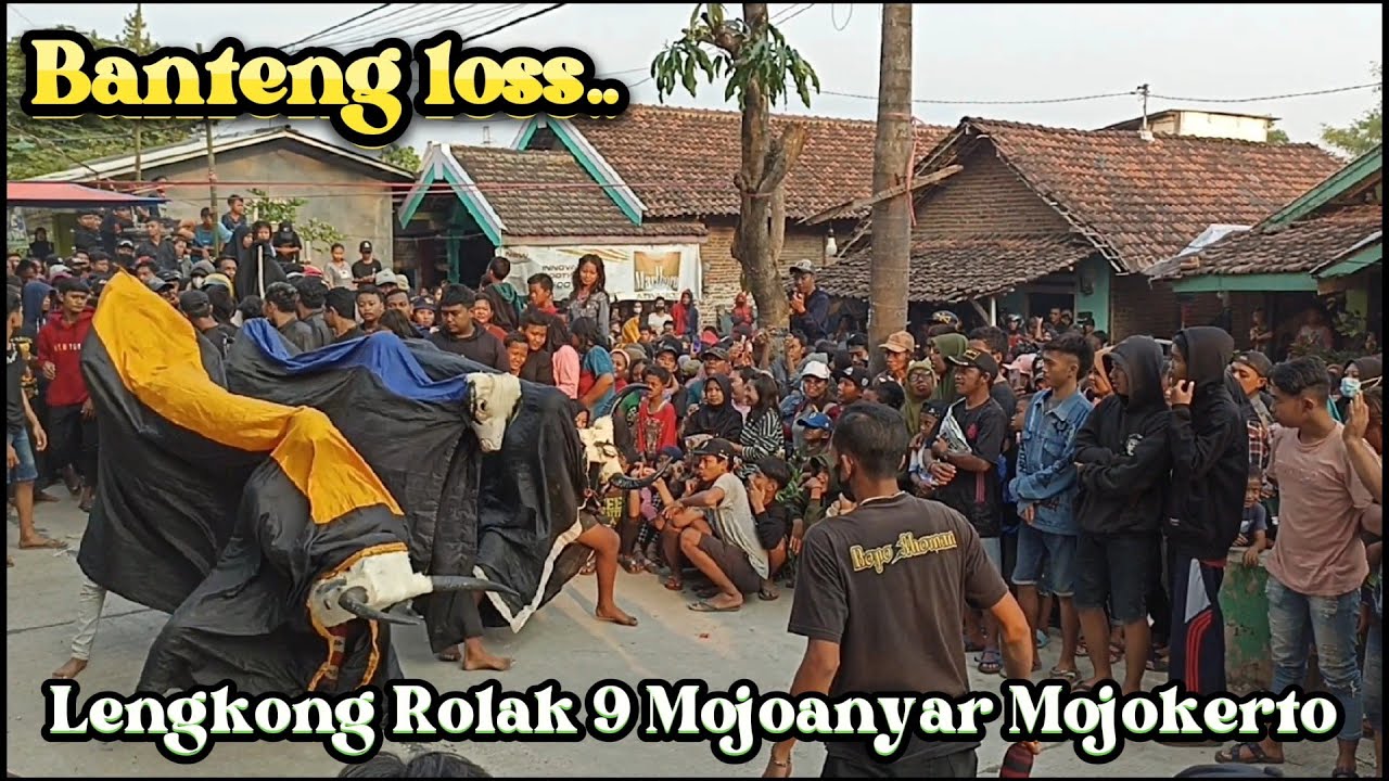 Banteng loss Radit Wijaya Original Live Lengkong Rolak 9 Mojoanyar Mojokerto.