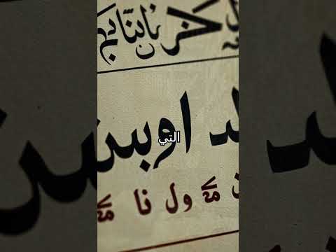 ابن سينا أمير الأطباء