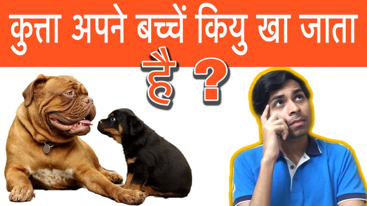 Why Female Dog Eat Their Own Puppies ? कुत्ता अपने बच्चें कियु खा