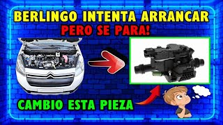 Citroen Berlingo won't start. P2699 and P2670 codes. Solution.