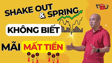 VSA Thực Chiến | Tại Sao Cổ Phiếu Bị Rũ Bỏ (Shakeout & Spring) | Quang Dũng DBD